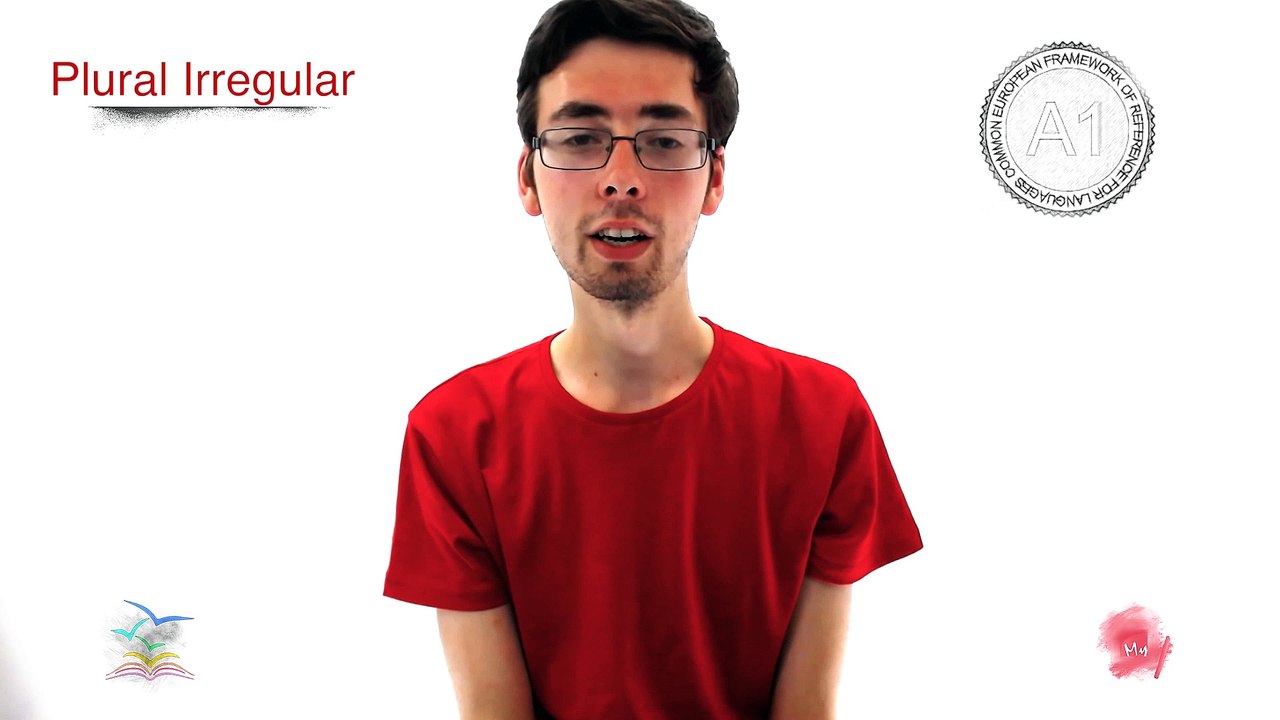 A1 13 Plural Irregular