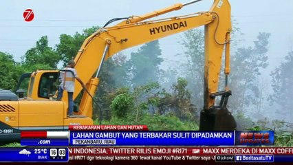 Titik Api di Riau Naik Drastis dari 74 Menjadi 278