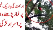 Miracle- Unknown Women Praying Namaz On Tree - Video Goes Viral