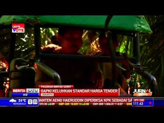 Gapki Jamin Stok CPO Cukup untuk Program Biodiesel