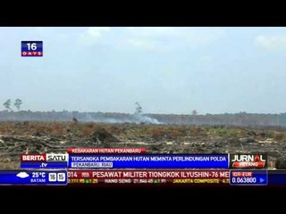 Kebakaran Hutan, NSP Minta Perlindungan Polisi