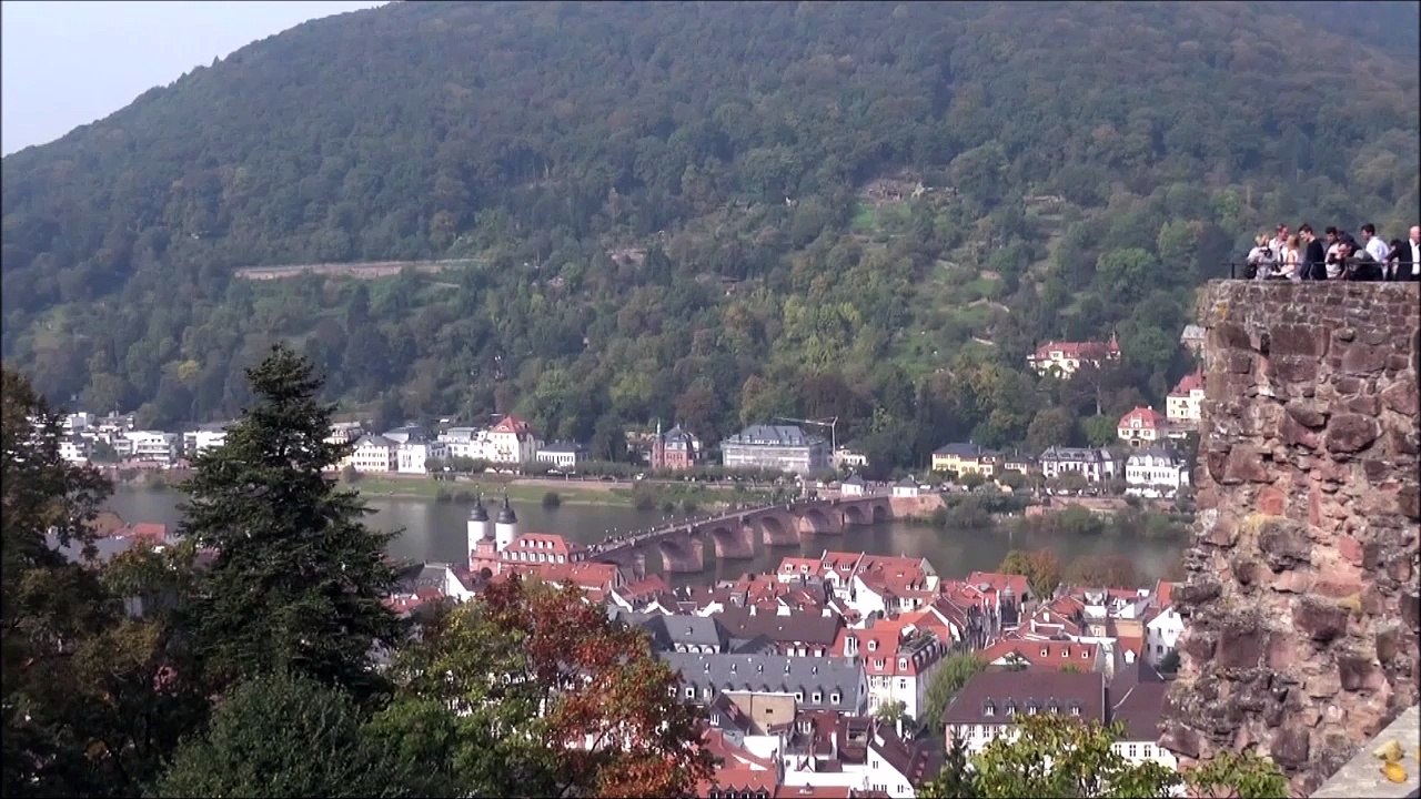 Croisière sur le Rhin 9 nv