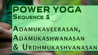 Power Yoga Sequence | Adamukaveerasan, Adamukashwanasan & Urdhmukashvanasan