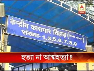 Question on suicide of prime accused of Delhi gangrape case