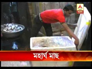 howrah fish market