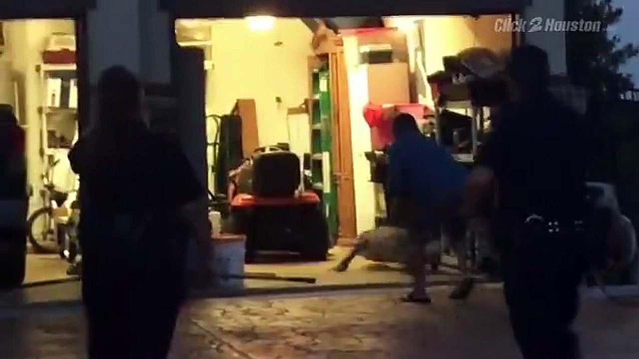 Il ouvre la porte de son garage et se retrouve nez à nez avec un alligator géant de 2,5 mètres !