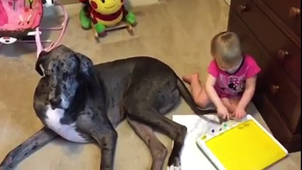 this is why dogs have tail