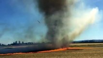 Des pompiers filment une Firenado, une tornade de feu