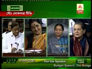 Chidambaram proposed to set up womens bank as public sector bank