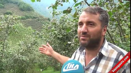 Minibüs 100 metrelik şarampole devrildi: 4 ölü, 5 yaralı