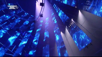 Dimitri Vegas & Like Mike Live at Amsterdam Music Festival 2015 Vevomv