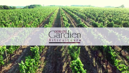 Domaine Gardien, BESSON / Vue du ciel - ETE 2016