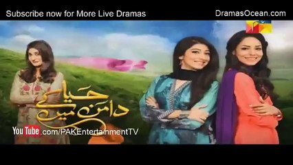 Haya Ke Daman Mein Episode 100 - 17 August 2016 - Drama