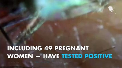 Zika Outbreak: Almost 500 New Yorkers have tested positive