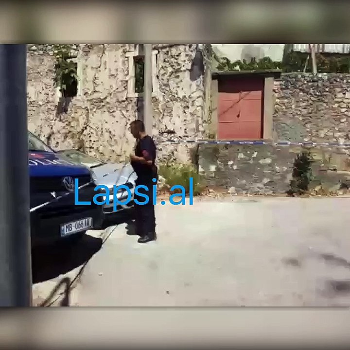 vrasja e 12 vjecarit ne Palase