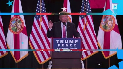 Trump's new top executive Steve Bannon: 5 need-to-know facts