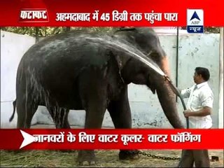 Heat kills three in MP, Nagpur hottest in six decades