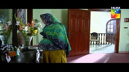 Saya e Dewar Bhi Nahi Episode 2 Full HD Hum TV Drama 17 Aug 2016