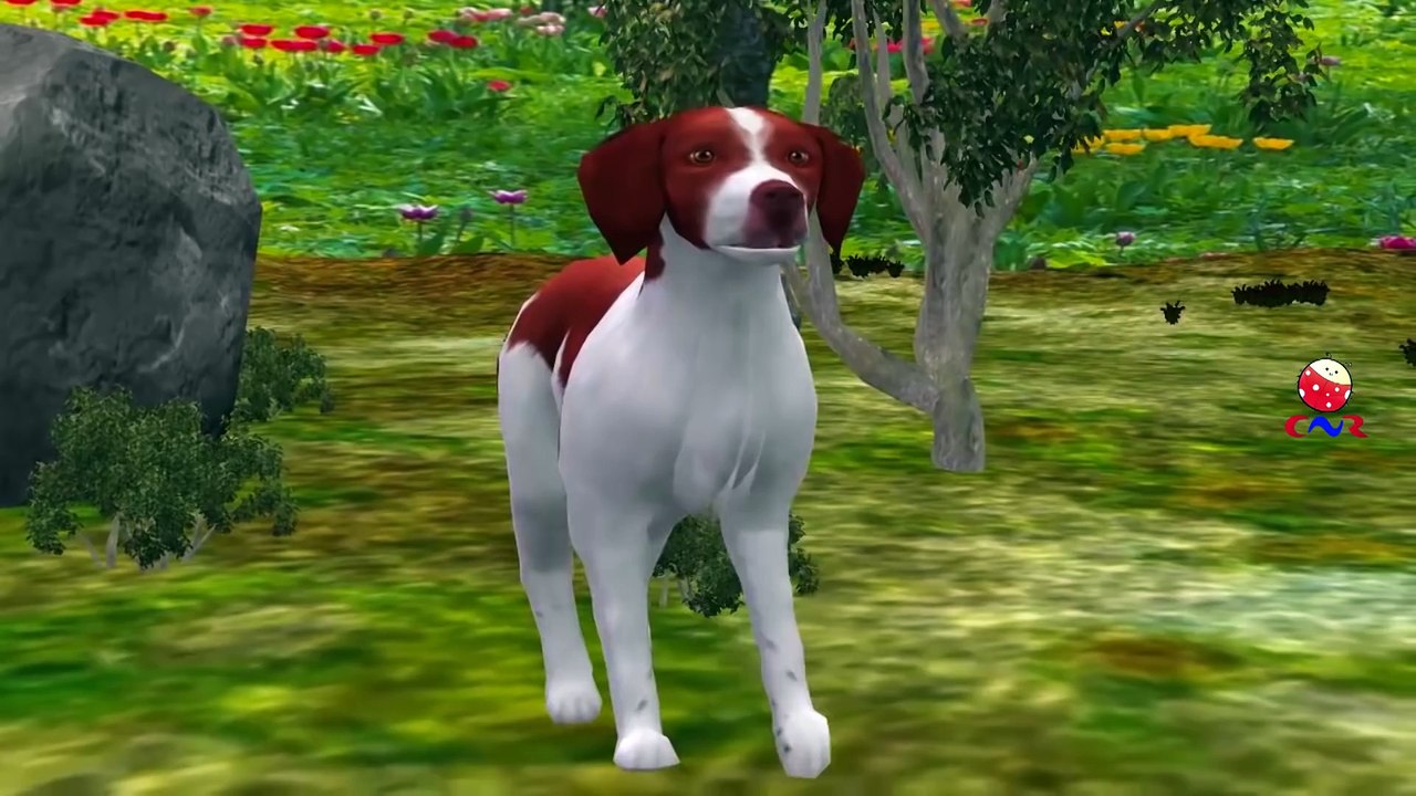 Dog Cartoons Singing Finger Family Children Nursery Rhymes   Dog Finger Family Rhymes