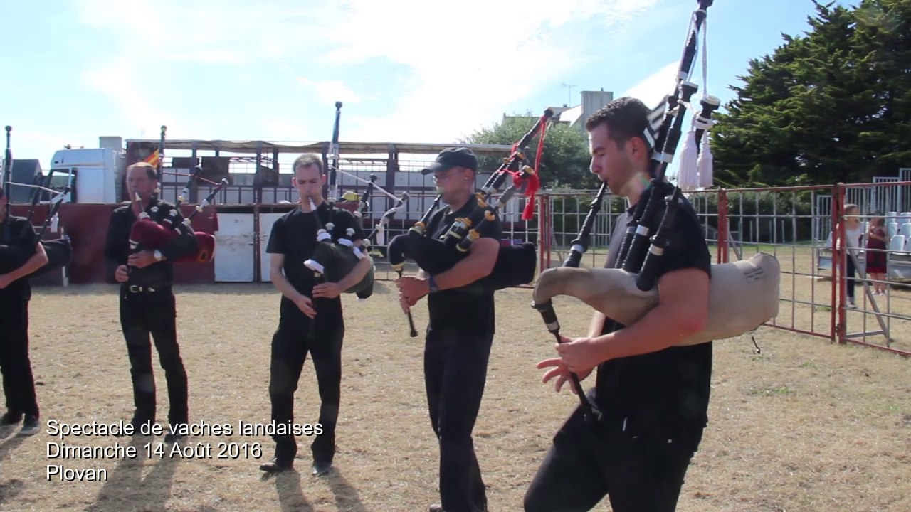 Bagad Ar Vro Vigoudenn Uhel - Spectacle de vaches landaises – dimanche 14 Août 2016