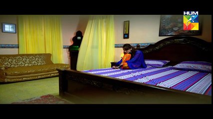 Saya e Dewar Bhi Nahi Episode 2 HD | Hum TV