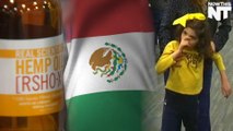 Mexican Marijuana Fair Helps Push For Legalization