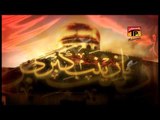 Zainab Ye Keh Na Paain - Wajhi Hussain Zaidi - Official Video