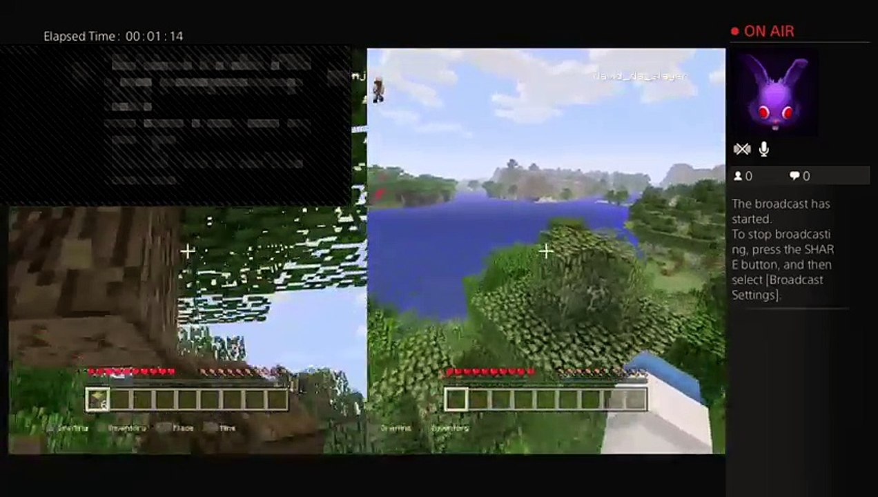 Minecraft (28)
