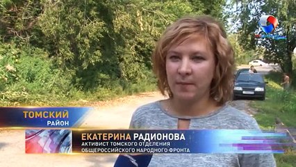 ОНФ: В Томском районе выявлена очередная незаконная рубка деревьев