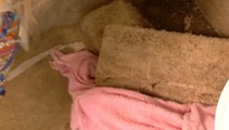 Encuentran a bebé muerto dentro de un baño en parroquia de la provincia del Guayas