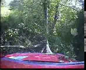 Rally Car Crashes Headon into Tree