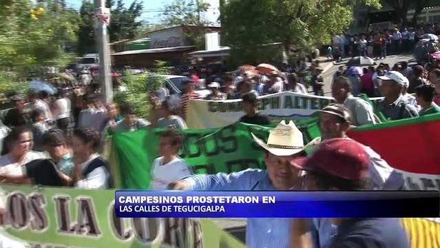 Campesinos protestaron en las calles de Tegucigalpa