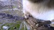 Squirrel Steals GoPro and Records an Adventure