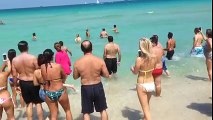 Tiburones en las playas de Miami