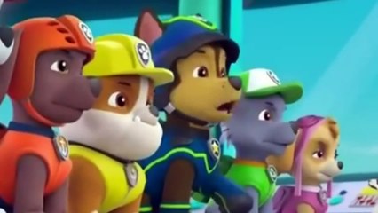 ᴴᴰ Animation Movies For Kids 2016 ☀ PUPS save an ELEPHANT FAMILY- KITTY TASTROPHE