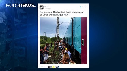 Train crashes in southern France after hitting tree on the tracks