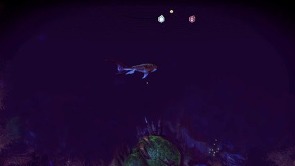 No Man's Sky Whale/Shark Encounter
