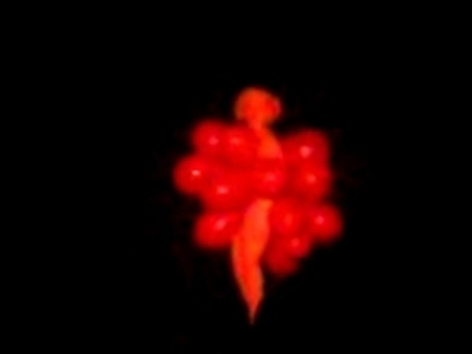 MOV01491