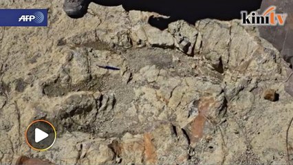 Tapak kaki gergasi dinosaur ditemui di Bolivia