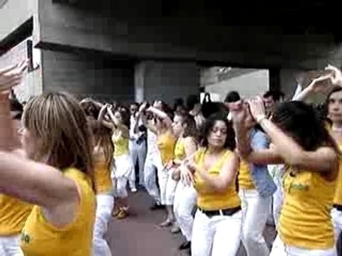 Cité Universitaire - bloco de Paris - Mai 06 - 4