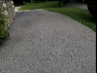 haute ecole de valeurs humaine pour jeunes filles