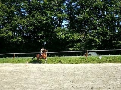 cso avec cristal aprés 5ans de repo o cso