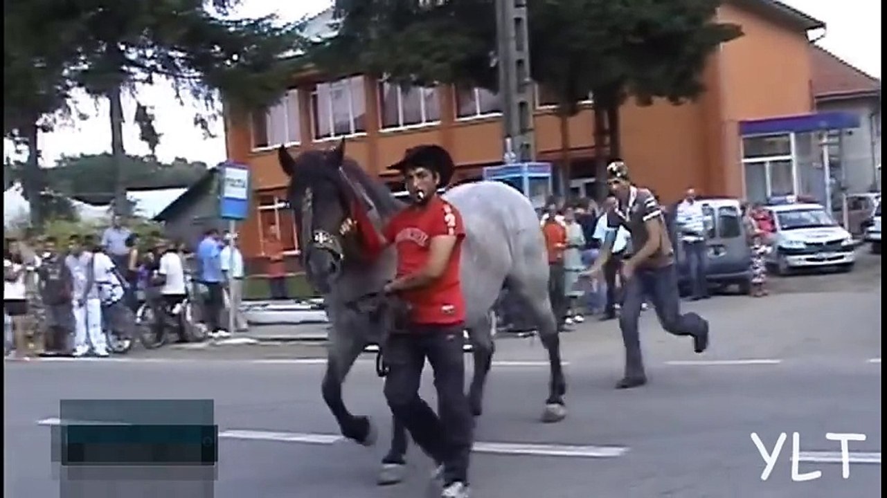 Funniest fails of the week 11_29_2012 ll YlT