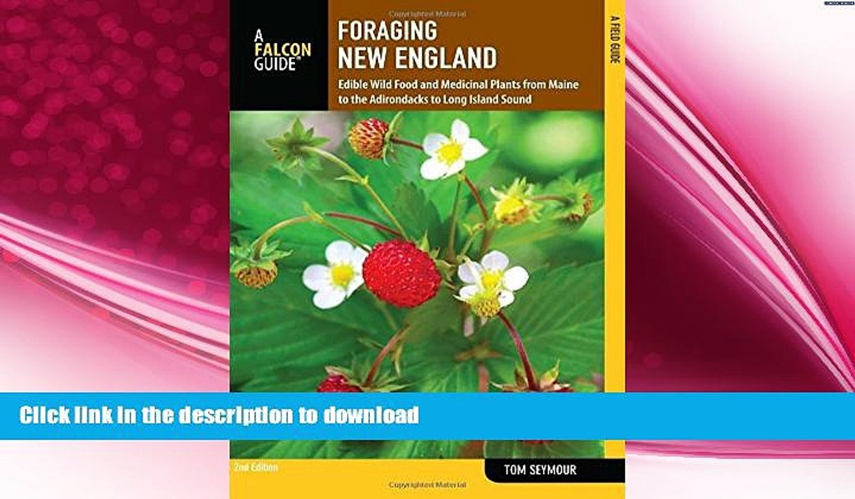 READ  Foraging New England: Edible Wild Food And Medicinal Plants From Maine To The Adirondacks