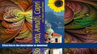 READ  Sunflower Landscapes of Sorrento, Amalfi and Capri: A Countryside Guide FULL ONLINE