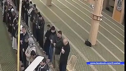 Miracle of Allah Amazing Top class video