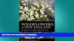 READ BOOK  Wildflowers of New England: Timber Press Field Guide (A Timber Press Field Guide) FULL