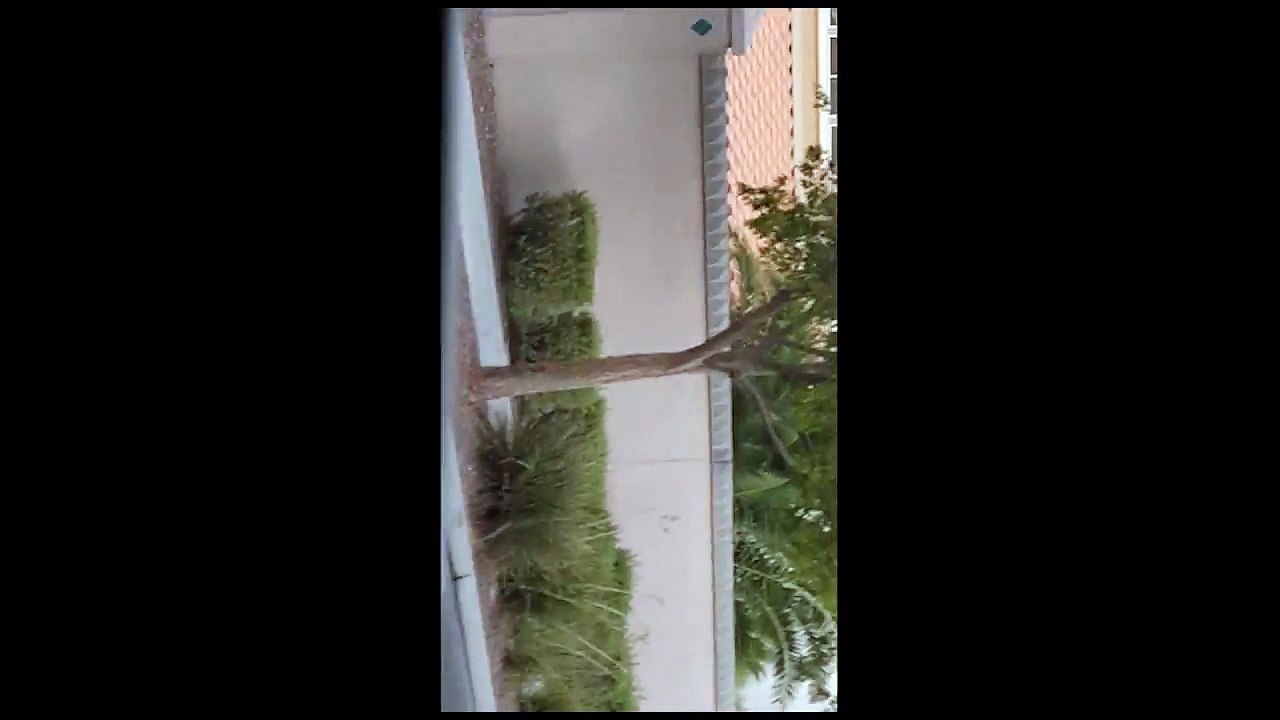 Las Vegas witness captures two cigar UFOs on video