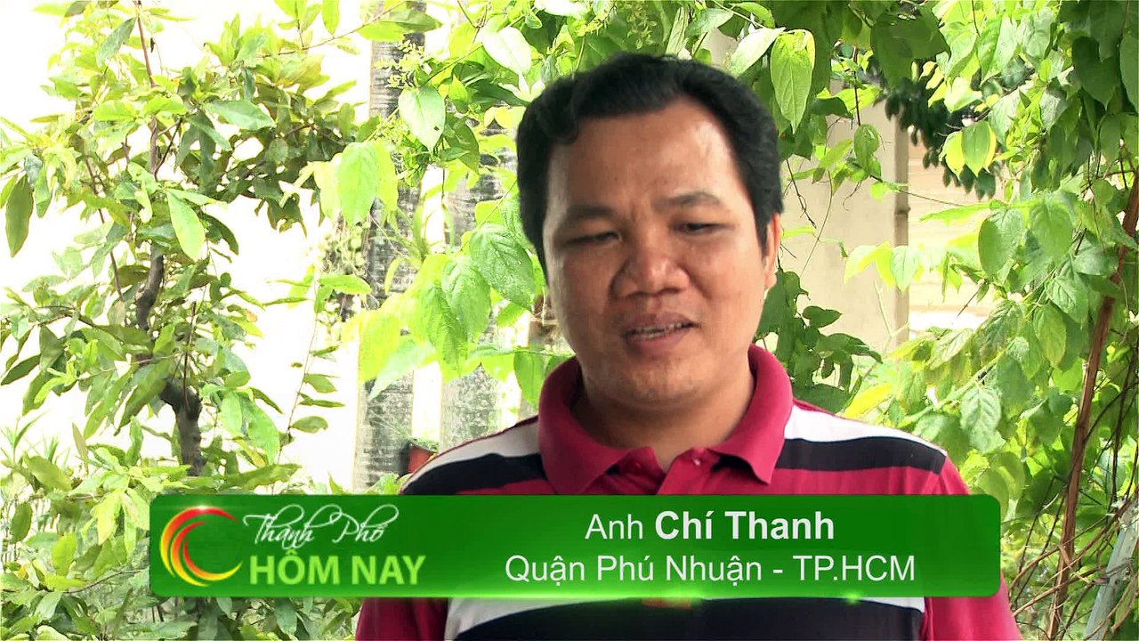 Qùa cho mẹ - Thành Phố Hôm Nay [HTV9 – 17.08.2016]