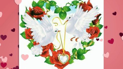 חנות פרחים - פרחי גורדון 1-800-20-40-80